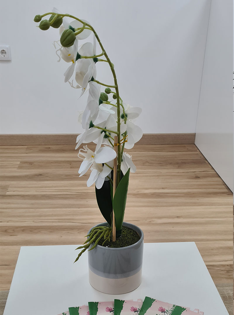 8